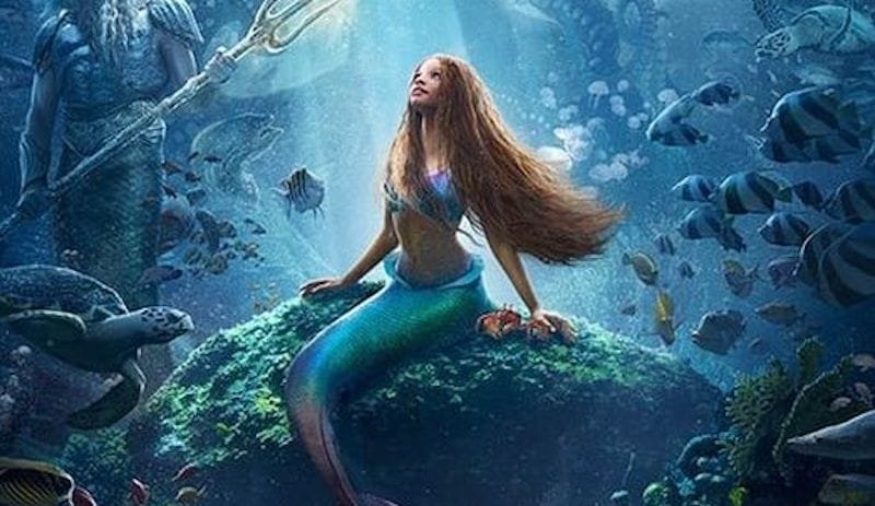 354226320_575689711402566_7510628440441662237_n