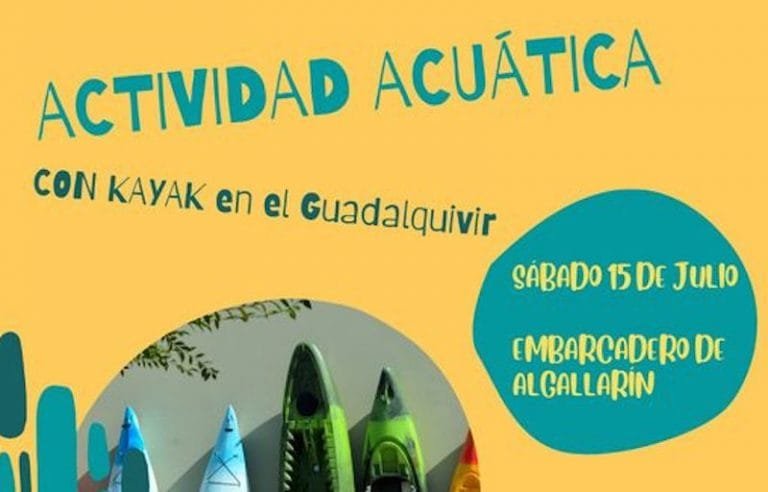 357743335_606075548304643_724456219000264467_n-1