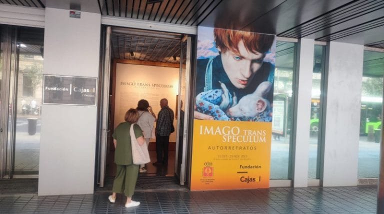 387123573_10229338429312749_661893661607960421_n-800x445-1