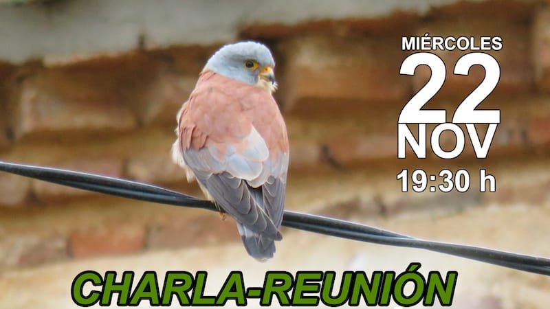 Charla-1