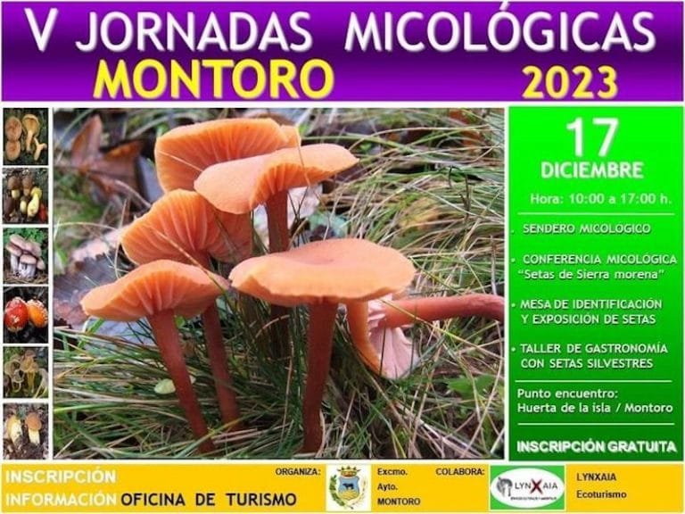 410032012_672942375010632_7738654791894028272_n-1