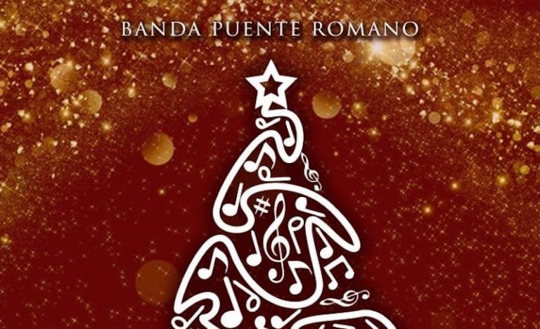 concierto-Ano-Nuevo-2024-1-724x1024-1