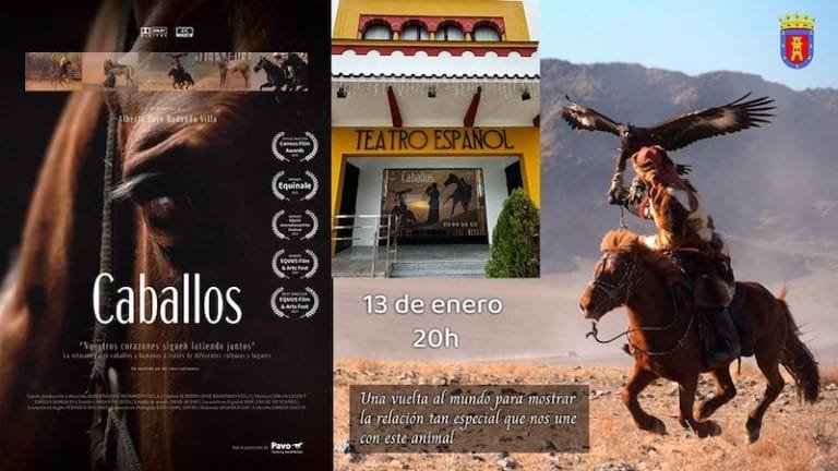 416075700_778005584369969_7534400607262954273_n