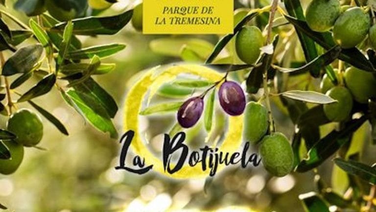 424786699_717911150454415_2518526963097598551_n-1