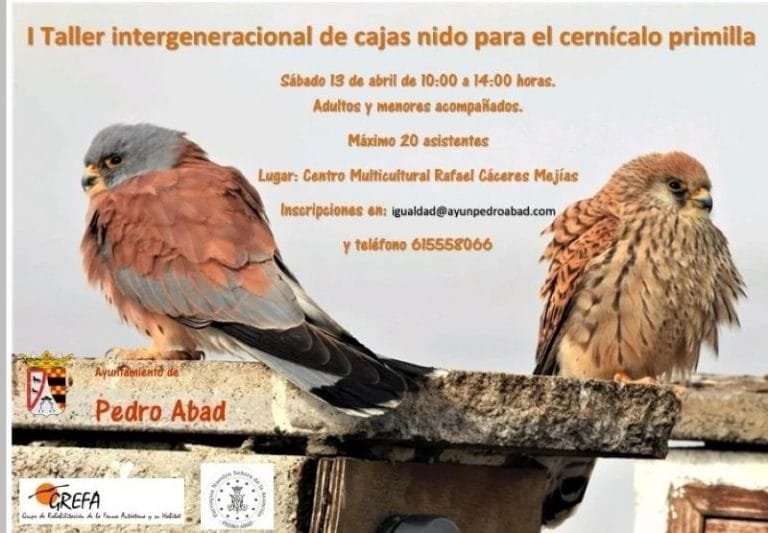 419299143_249569288225439_7699703641977307067_n-1