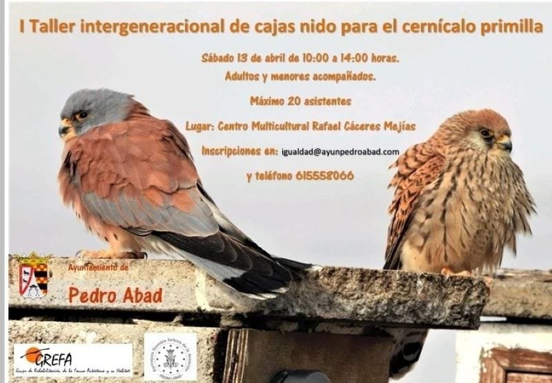 419299143_249569288225439_7699703641977307067_n-1