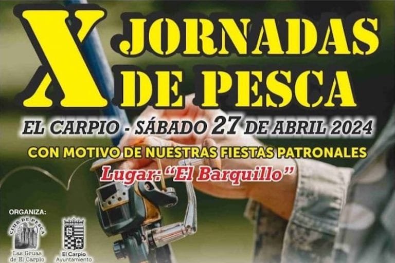 437172622_18345856480104966_5121266240830981725_n-1