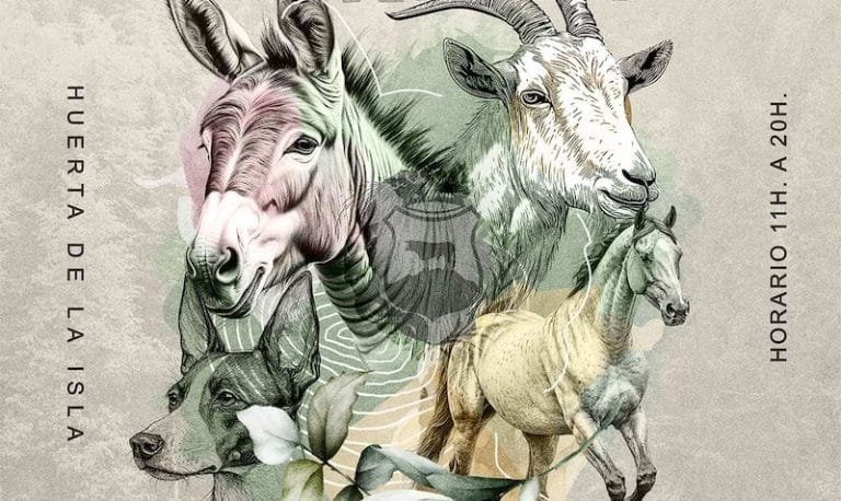 Feria del ganado Montoro 2024