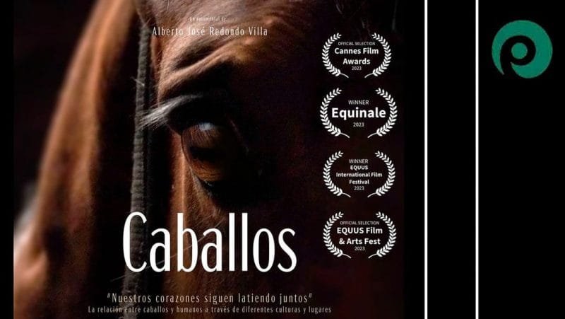 Bujalance |Proyección del documental %22Caballos%22