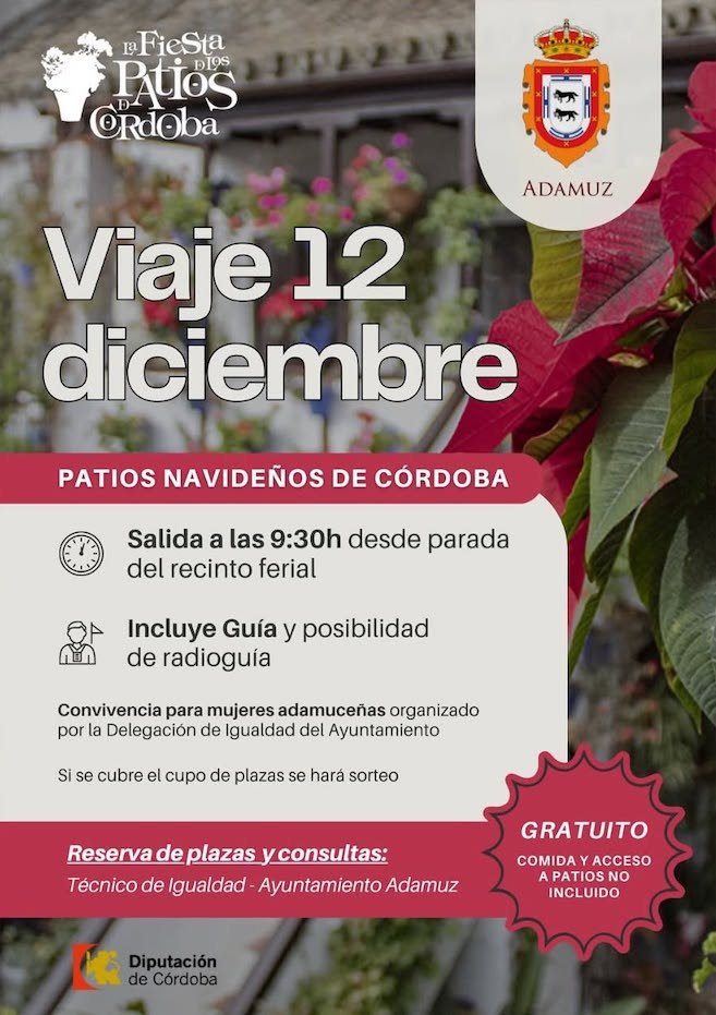 Viaje a los Patios Navideños de Córdoba