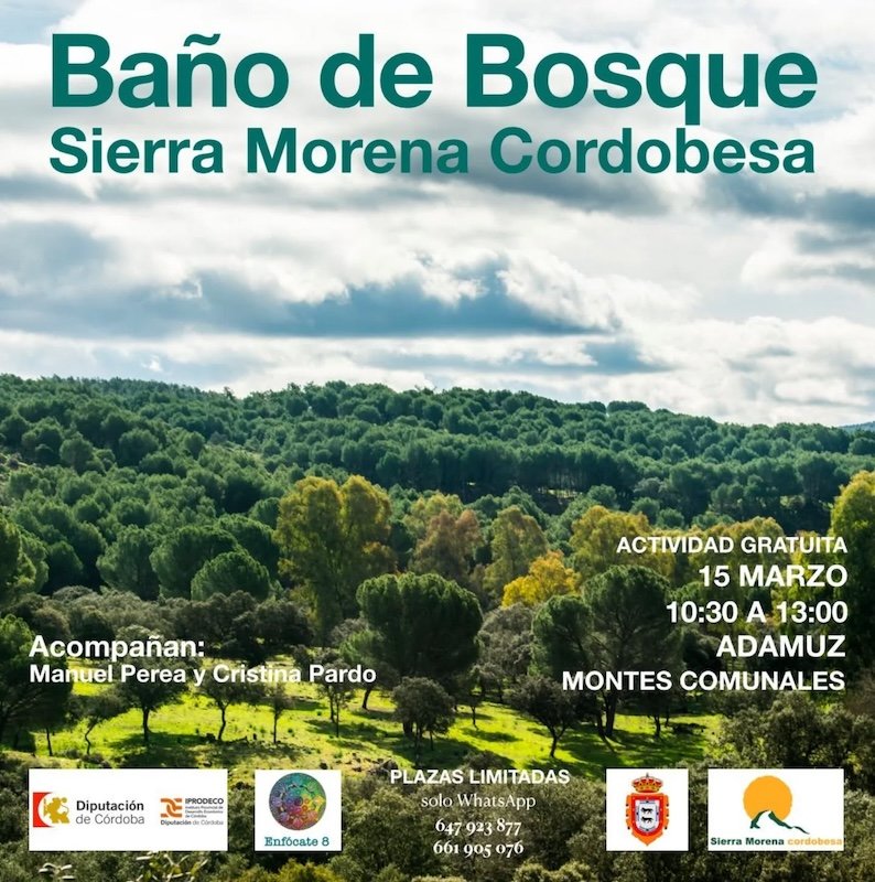 Baño de Bosque en Sierra Morena Cordobesa