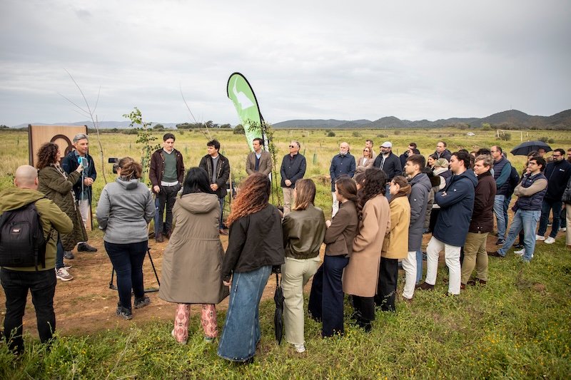 Diputación y Silbon en una jornada de reforestación en la Finca Porrillas