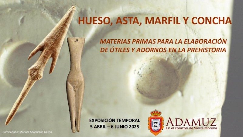 Exposición Hueso asta marfil y concha