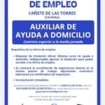 Oferta de empleo | Auxiliar de ayuda a domicilio en Cañete de las Torres (Córdoba)
